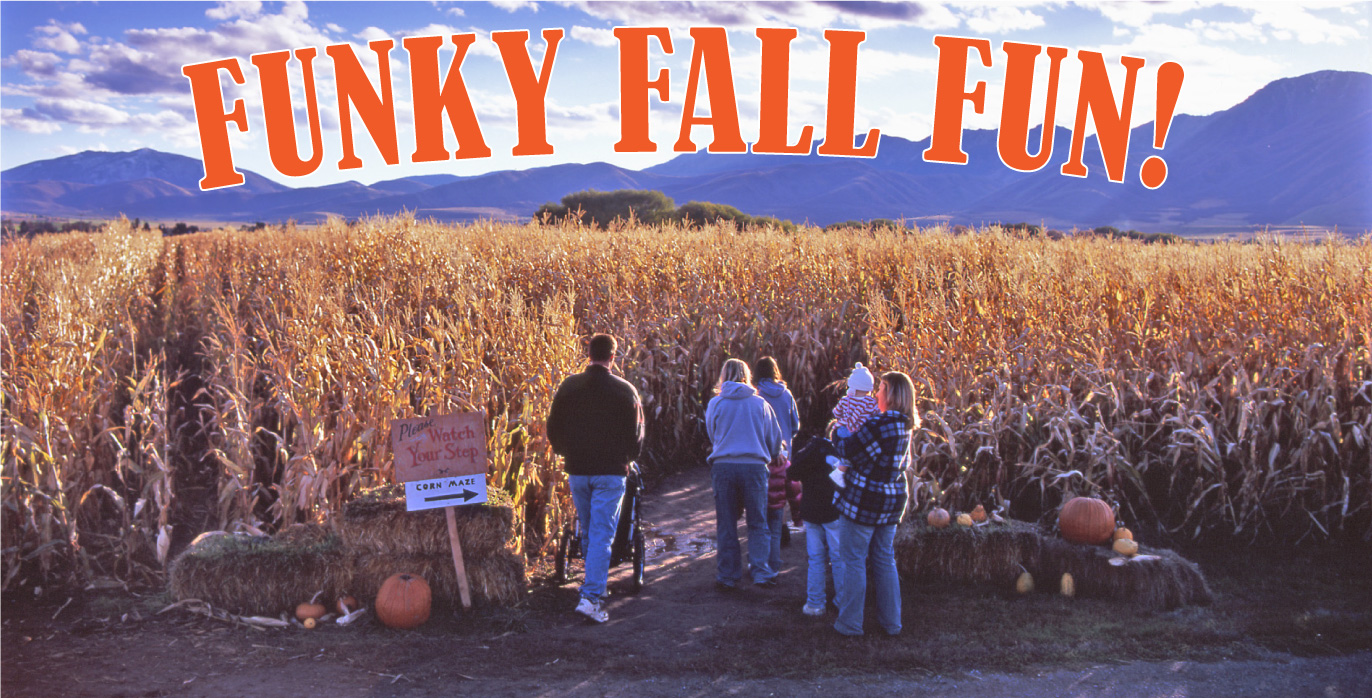 banner funky fall fun corn maze with a family entering the maze