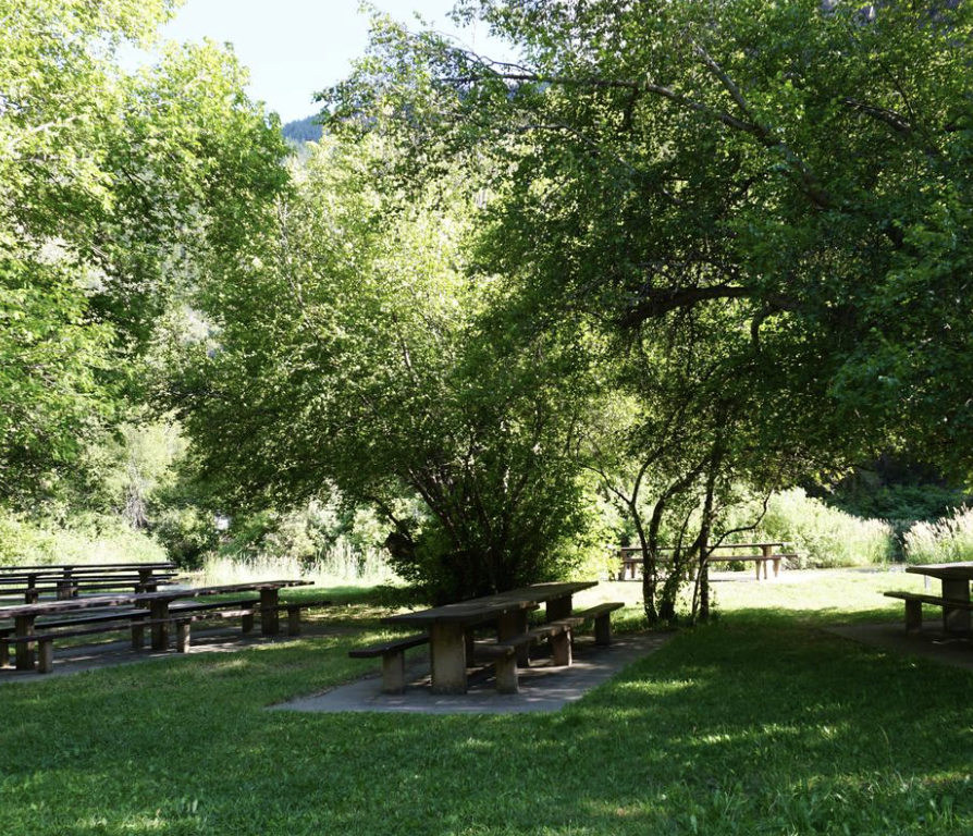 Friendship Campground